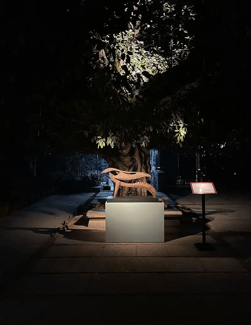 The Sehgal Private Collection Exhibitions The Sehgal Private Collection Exhibitions